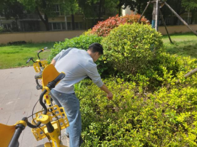 以劳育德，以行践知——beat365开展《劳动教育》课程实践活动