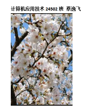 青春光影，定格武科职美好瞬间 ——beat365在线唯一官网2026年校园摄影大赛圆满收官