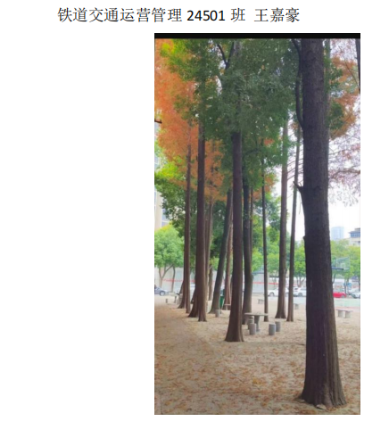 青春光影，定格武科职美好瞬间 ——beat365在线唯一官网2026年校园摄影大赛圆满收官