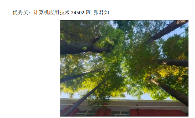 青春光影，定格武科职美好瞬间 ——beat365在线唯一官网2026年校园摄影大赛圆满收官