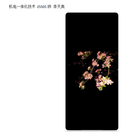 青春光影，定格武科职美好瞬间 ——beat365在线唯一官网2026年校园摄影大赛圆满收官