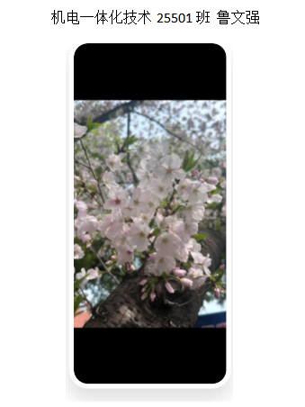 青春光影，定格武科职美好瞬间 ——beat365在线唯一官网2026年校园摄影大赛圆满收官