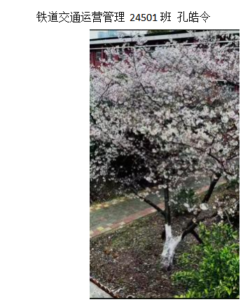 青春光影，定格武科职美好瞬间 ——beat365在线唯一官网2026年校园摄影大赛圆满收官