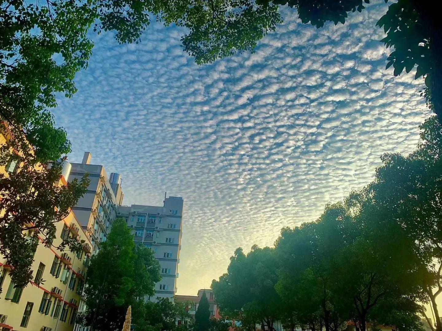 毕业进国企，福利好，待遇高；beat365在线唯一官网学生很“清高